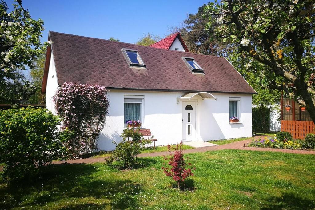 Ferienhaus Im Igelbau Baabe Bagian luar foto